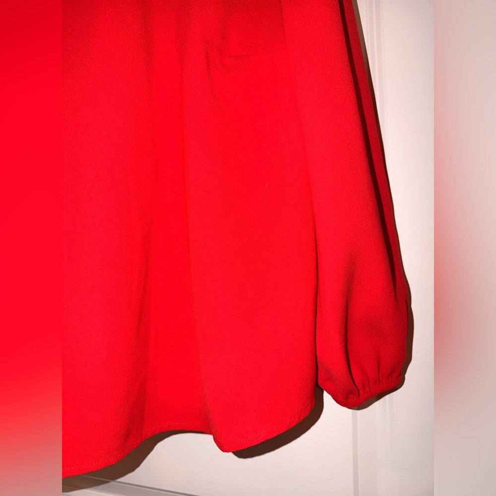 J. Crew Scarlet Ruffle Blouse - Picture 5 of 10